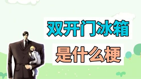 双开门冰箱是什么梗?_高清1080P在线观看平台_腾讯视频