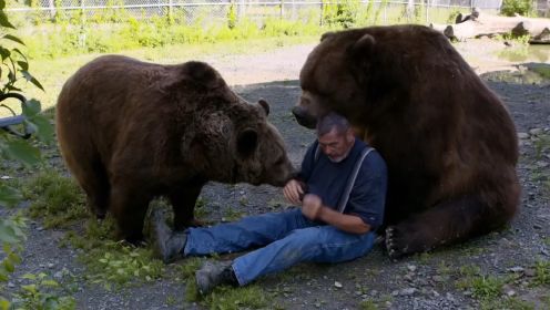 男子将重达一千多斤的灰熊当宠物养，家里一共养了11只