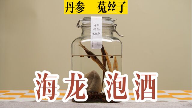 如何制作海龙,丹参,菟丝子酒,用什么白酒好?六年经验总结