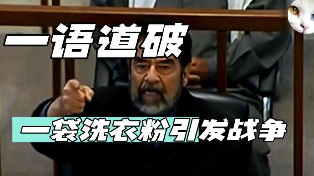 伊拉克战争真相:洗衣粉引发的大战,美国说你化学武你就是有.