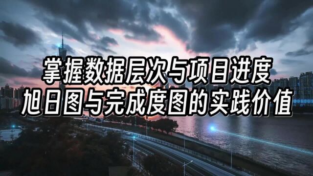 掌握数据层次与项目进度:旭日图与完成度图的实践价值