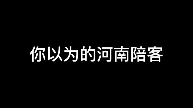 你以为的河南陪客