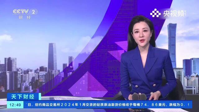 德国多地降下今冬初雪