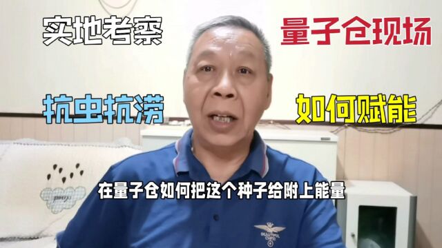 10.独家量子仓赋能技术,种子增产抗旱抗涝,现场画面其实很简单