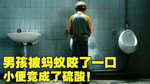 男孩被一只蚂蚁咬了一口,却意外获得了超能力《蚂蚁男孩》科幻片