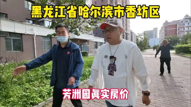 黑龙江省哈尔滨市香坊区真实房价之芳洲园,鬼哥实地探房现场谈价