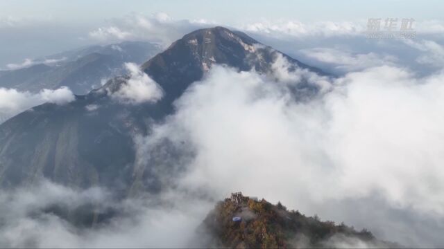 重庆奉节:旭日东升暖阳照 山巅云海映三峡