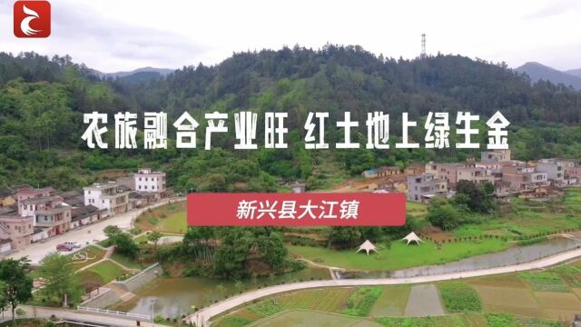 智库观察丨新兴县大江镇:逐梦“红土地” 变身“绿富美”