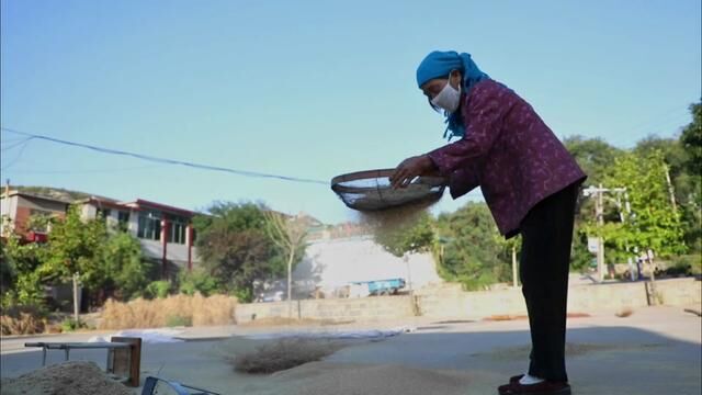 秋高气爽,家乡的谷子熟了,走进村子,首先映入眼帘的就是满地晾晒的金灿灿的谷子.还有在谷堆旁谈笑风生的大叔大婶们.