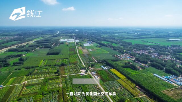 桐乡:实施土地综合整治 助推共富基本单元建设