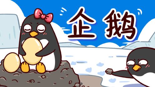 “QQ”企鹅们为了筑巢能有多无耻？