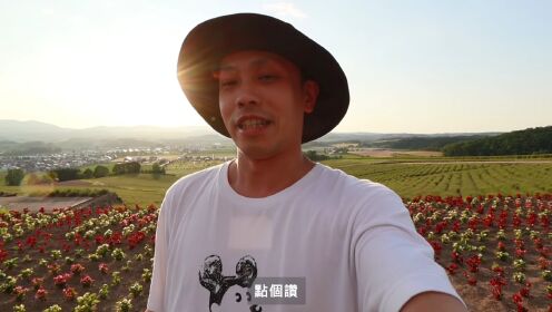 第15期：北海道之夏日薰衣草，用一日的时间来感受富良野_富良野_美瑛白金