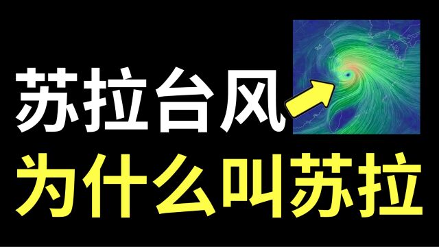 苏拉台风最新消息,为什么叫台风苏拉?这次台风为什么叫苏拉?这个视频告诉你