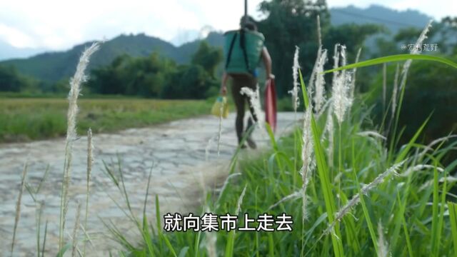 梦玲农场:梦玲农场解压合集版,让你一次看个够