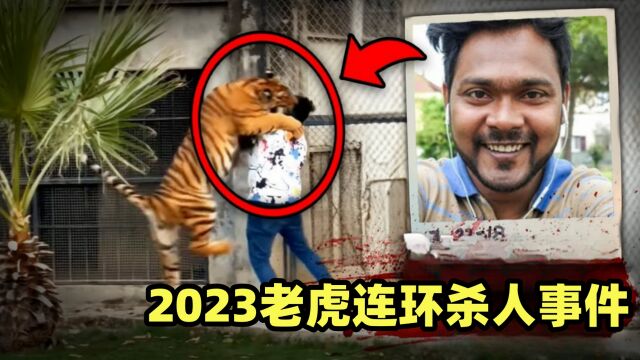 2023年最新老虎连环杀人事件,爷孙两人被杀死,另有一人因此丧命