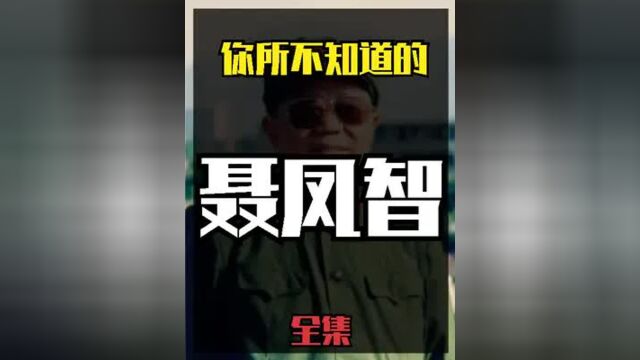 聂凤智不为人知的冷知识:许世友最信任的手下,晚年三次辞职,军中的宠妻狂魔