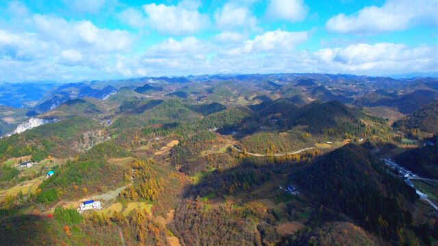 千城胜景丨湖北鹤峰:万山红遍 层林尽染