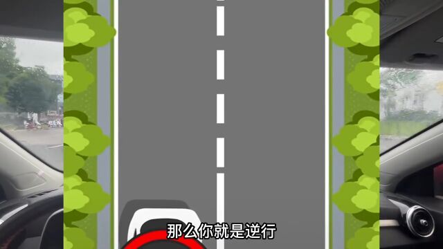 开车上路道路标线看不懂,记住这4点,新手也能快速上手