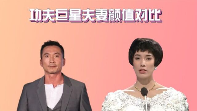 功夫巨星夫妻颜值,邹兆龙和老婆夫妻相十足,樊少皇老婆赛过热巴