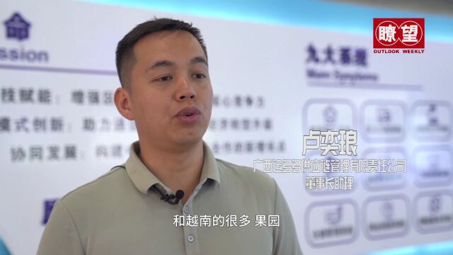 瞭望|夯实提升中国东盟开放平台