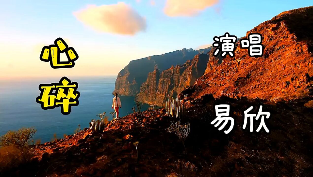 易欣的经典代表作成各曲《心碎》十几年前的网络神曲,好听极了