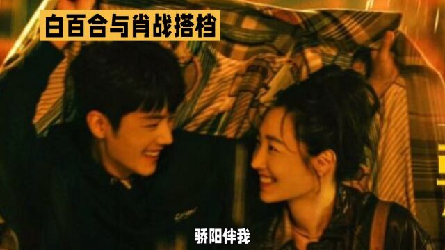 《骄阳伴我》白百合肖战演绎不设限的爱