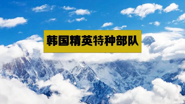 韩国精英特种部队,将刺杀韩总统定为首要目标,内幕曝光震惊四座