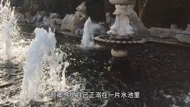 高分好文《退婚后,暴戾王爷他对我图谋不轨》颜卿芸楚墨宸完整