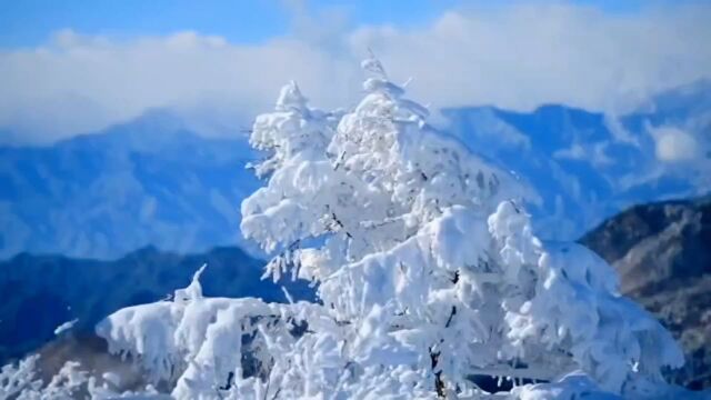 治愈系雪景