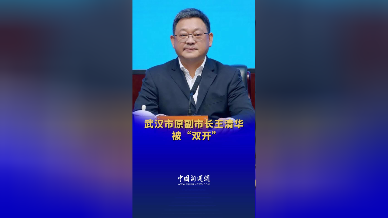 湖北省武汉市原副市长王清华被双开