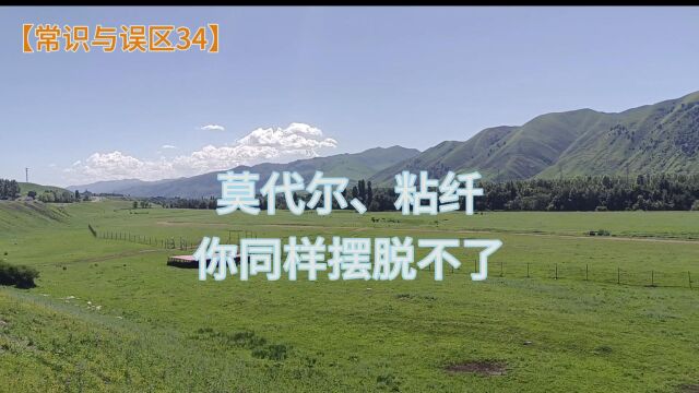 莫代尔、粘纤,你同样摆脱不了【常识与误区34】