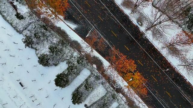 一分钟带您欣赏许昌北海绝美雪景 #许昌 #雪后的景色 #治愈系风景