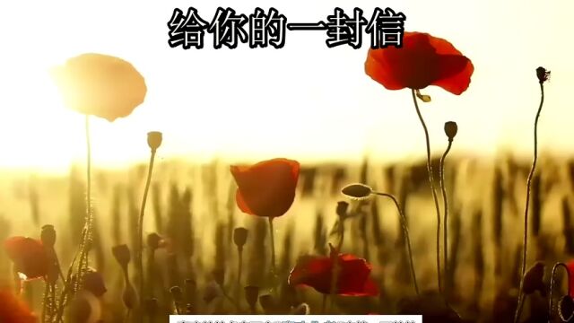 如果可以,我想早点遇见你