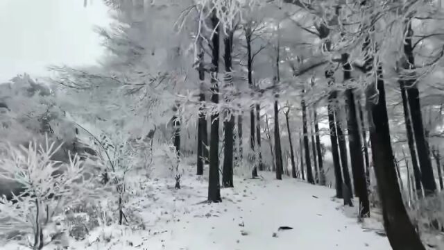 临安余杭临平萧山富阳桐庐建德淳安......大杭州今冬第一场雪,昨夜今晨就这样都来过了