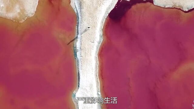 国外女子沉迷“黄色”无法自拔,严重影响生活,谁劝也不听 (1)