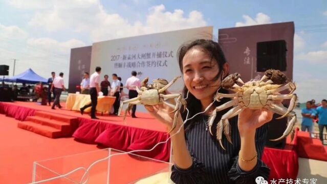 阳澄湖大闸蟹市场同样半斤蟹,为什么有的要60元有的只要20元