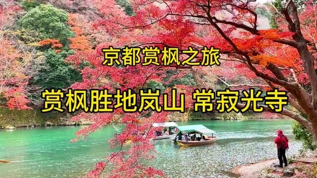 京都赏枫之旅~岚山深度游.岚山秋色令人惊艳,常寂光寺枫叶红