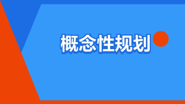 “概念性规划”是什么意思?