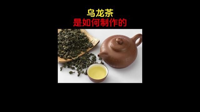 原来#乌龙茶 饮料在工厂是这样制作的!#茶饮 #无糖饮料 #超便宜超划算