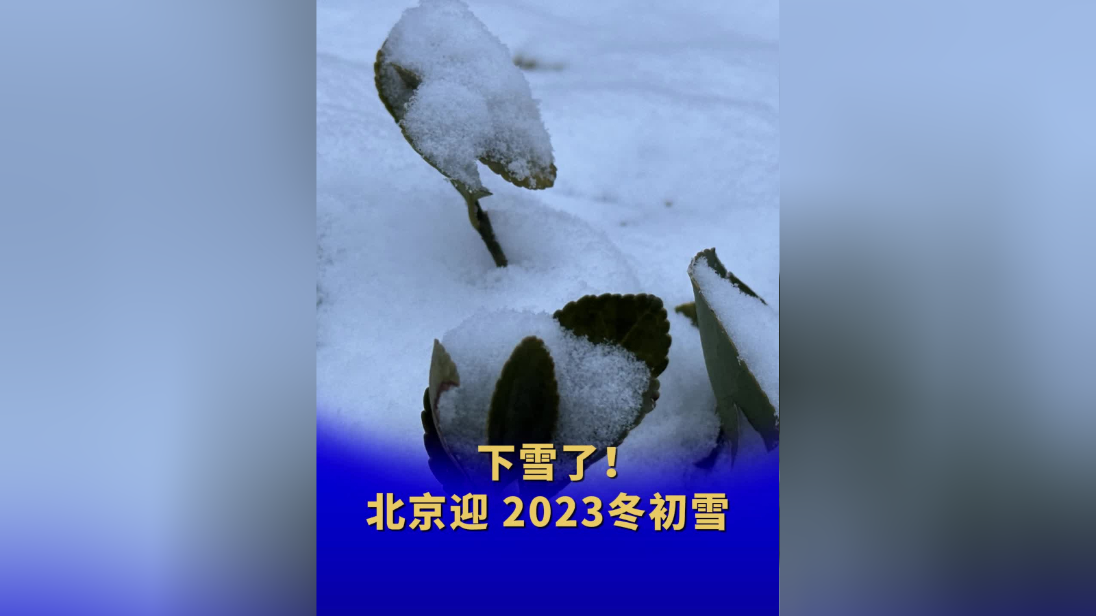 北京迎2023冬初雪