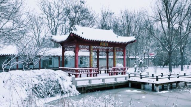 这么近 那么美 周末到河北丨高邑赏雪观景打卡地赵南星公园