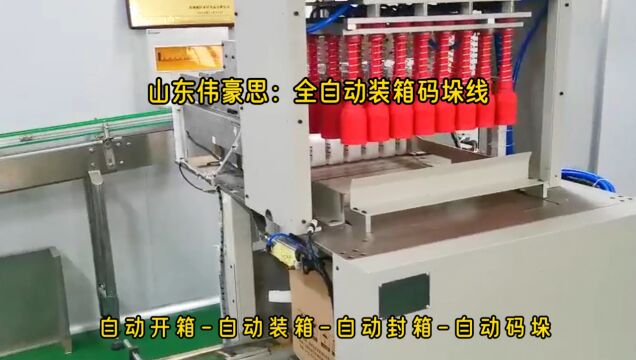 洁厕灵全自动装箱码垛线 全自动装箱机工作原理