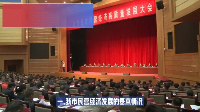 关于我市民营经济发展情况的调研报告