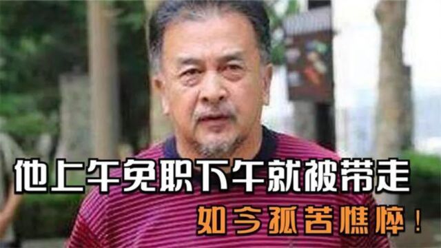 上午免职下午就被带走,国家一级演员黄宏,如今处境卑微!