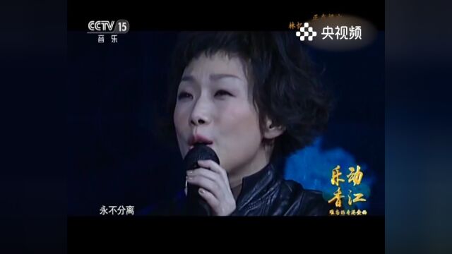 林忆莲演唱《至少还有你》,音乐至少,还有你之歌情感依靠