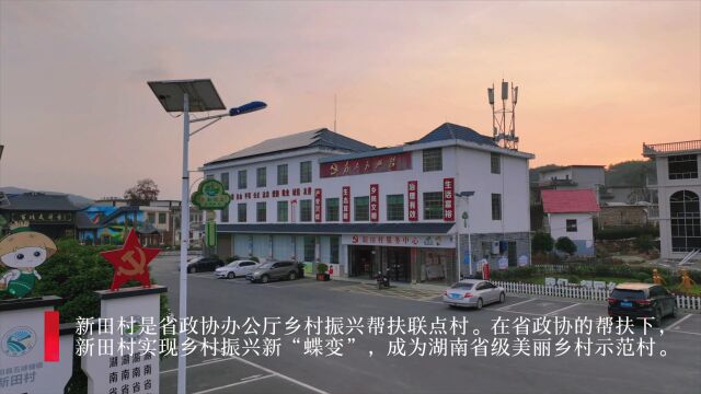 五峰铺镇:油茶稻香产业旺 文旅赋能助振兴