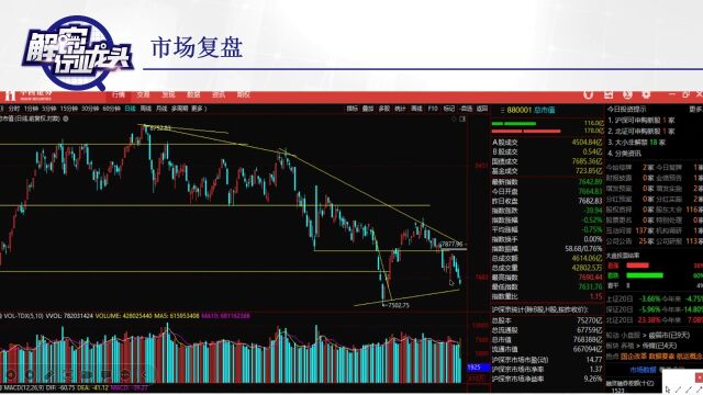 解密行业龙头 | 什么时候见底? 中药板块新开启篇章