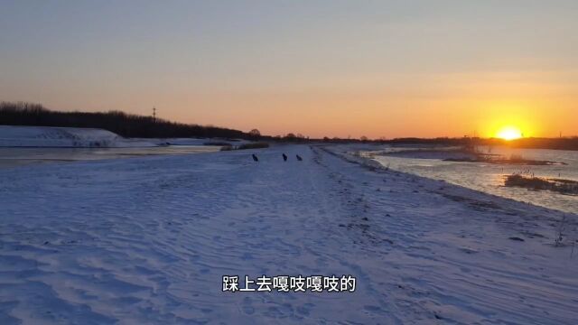 沙河水库大雪后的美丽日出