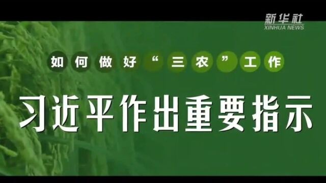 微视频|如何做好“三农”工作?习近平作出重要指示