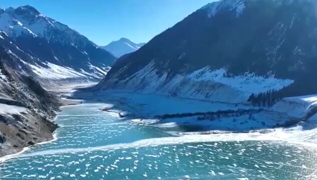 新疆昭苏:风吹积雪严寒至,玉湖盛开“冰莲花”